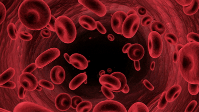 The greater the blood flow through the vessels, the faster the repair